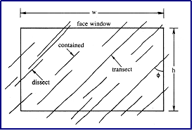 조사창 조사 (window survey)